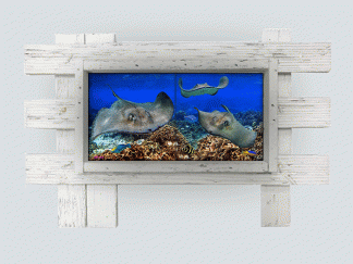"Stingray City Reef" 2 Tile Mural Lid