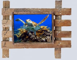 "Turtle and Friends 2"