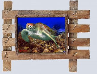 "Turtle and Grunts"