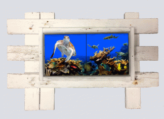 "Turtle Reef" 2 Tile Mural Lid