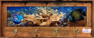 "West End Reef" with 4 Hooks