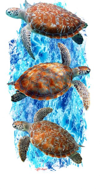 "Green Sea Turtle"