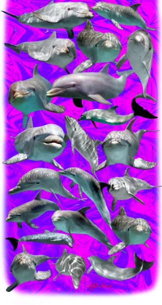 "Dolphin" Buff