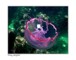 "Fishy Jellyfish"
