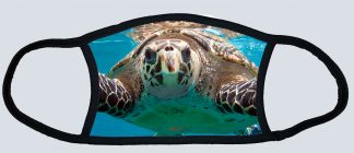"Hawkbill Turtle"
