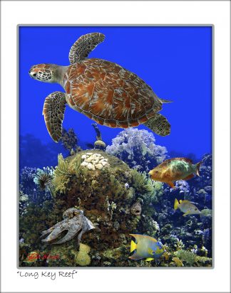 "Long Key Reef"