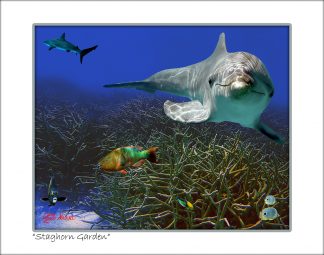 "Staghorn Garden"