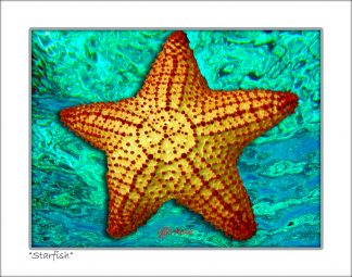"Starfish With Surface Water"