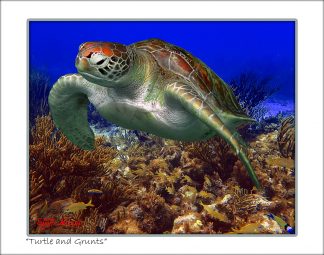 "Turtle And Grunts"