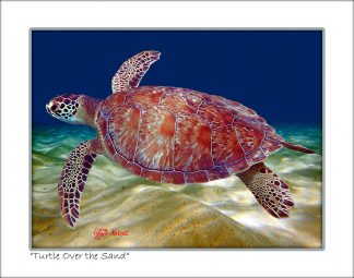"Turtle Over The Sand"