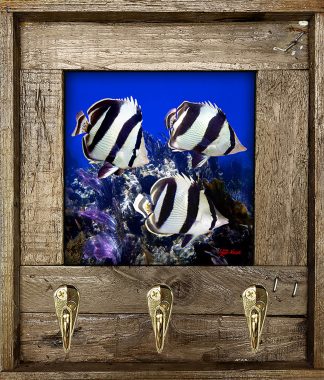 "Band Of Butterflies"
