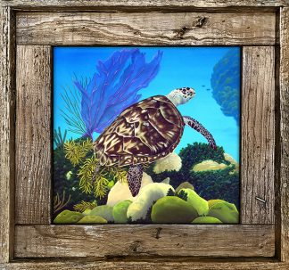 "Aloha Honu"