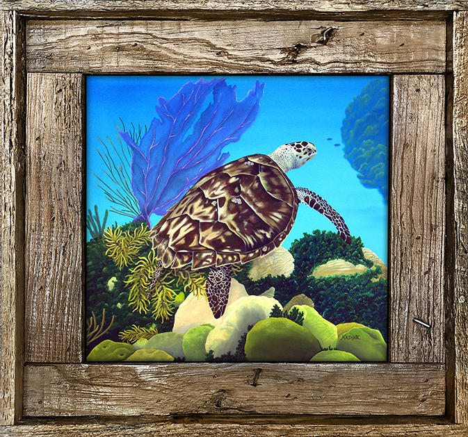 "Aloha Honu"