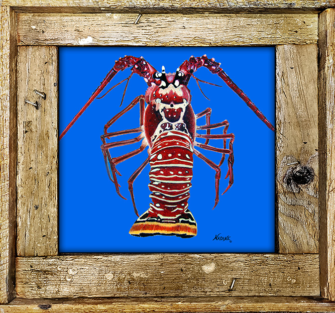 "Blue Lobzilla"