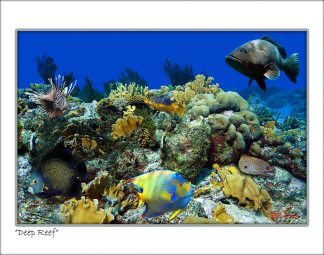 "Coral Villages"