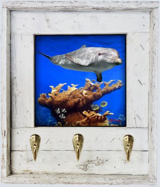 "Dolphin And Butterflies"
