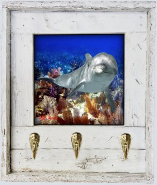 "Dolphin At Grecian Rocks"