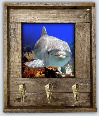 "Dolphin At Pickle Reef"