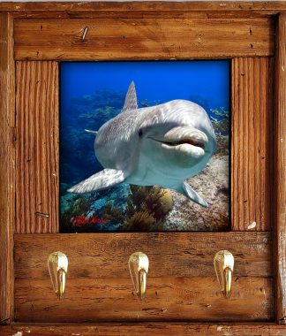 "Dolphin In The Depths"