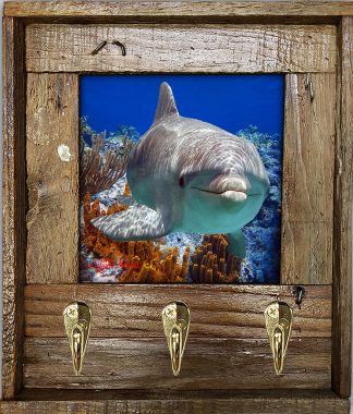 "Dolphin Over Sponges"