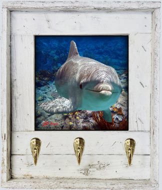 "Dolphin Over The Ledge"