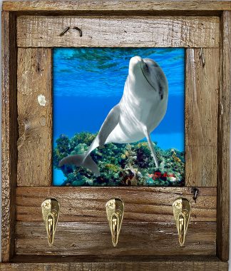 "Dolphin Playing"