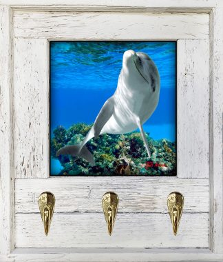 "Dolphin Playing"