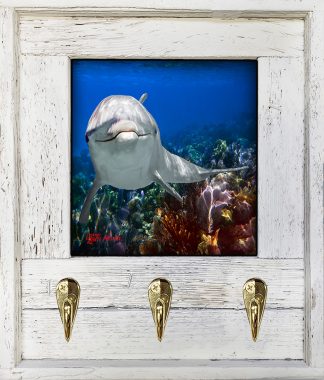 "Dolphin At Caysfort"