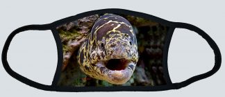 "Eel Face"