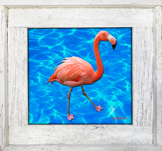 "Flamingo 1"