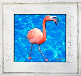 "Flamingo 4"