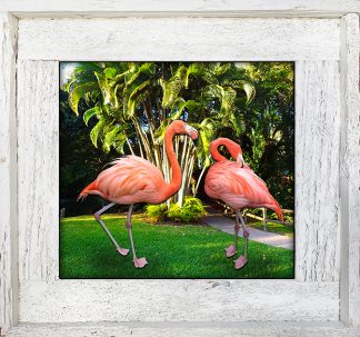 "Flamingo Duo With Palm"