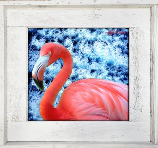 "Flamingo With Ocean"