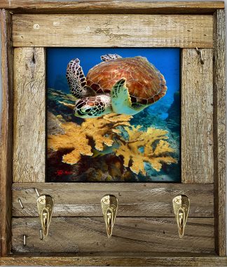 "Flying Over The Corals"