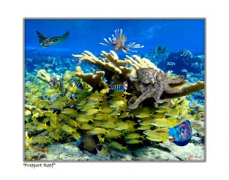 "Freeport Reef With Grunts"