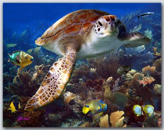 "Garden Of Corals"