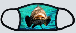 "Goliath Grouper"