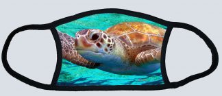 "Green Sea Turtle"