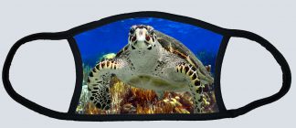 "Hawkbill On The Reef"