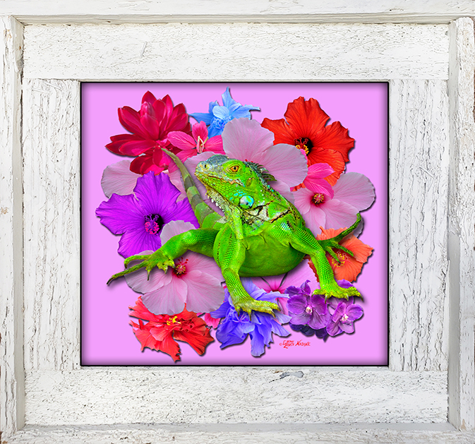 "Iguana Among The Flowers"
