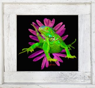 "Iguana And A Leaf"