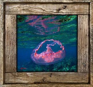 "Jellyfish Reflection"