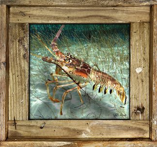 "Lobster In The Grass"