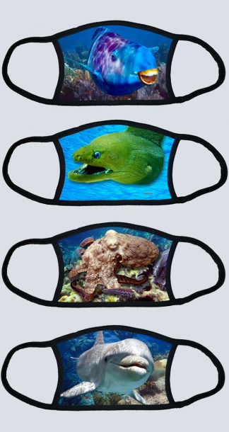 Face Masks