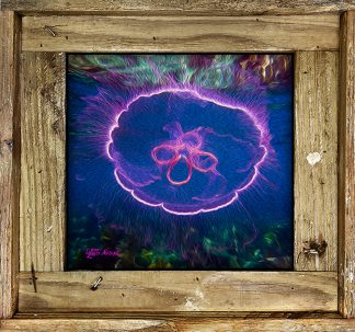 "Moon Jelly Oil"