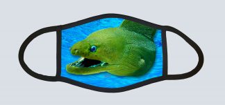 "Moray"