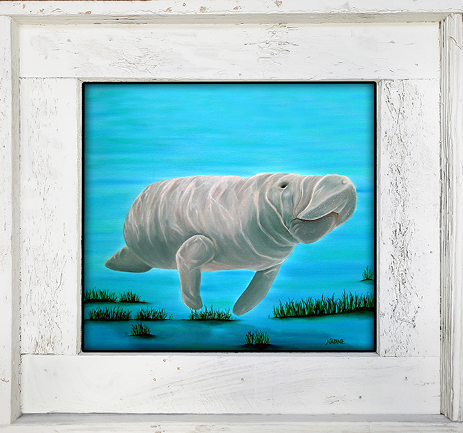 "Mr. Manatee"