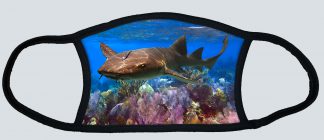 "Nurse Shark"