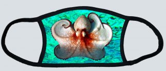 "Octopus In The Ocean"