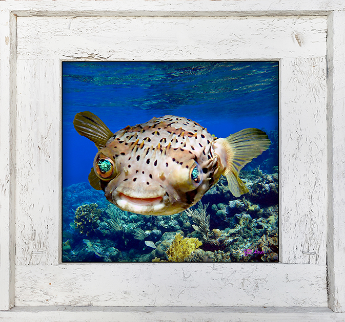 "Puffer Deep"